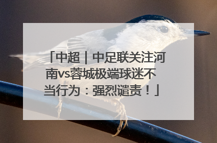 中超｜中足联关注河南vs蓉城极端球迷不当行为：强烈谴责！